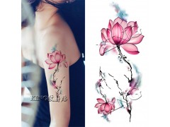 俁豐包裝長期供應(yīng)各種美甲水轉(zhuǎn)印貼