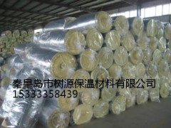秦皇島保溫釘15333358439【樹源保溫