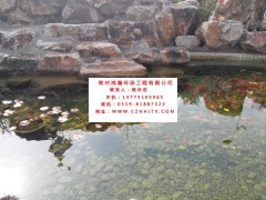 鎮(zhèn)江市別墅景觀魚池水凈化過濾循環(huán)