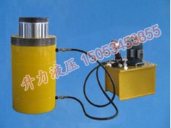 升力液壓專業(yè)供應(yīng)電動千斤頂，濱州6