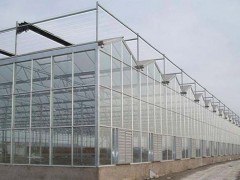 溫室大棚建造廠家_養殖大棚設計建造
