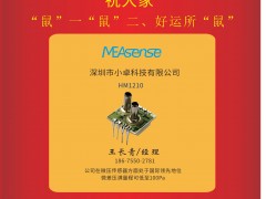 深圳小卓科技有限公司 經(jīng)理王長青 2020新春寄語 一百零八星報喜之地然星