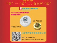 上海德薩堡傳感器總經(jīng)理 王欣2020新春寄語 一百零八星報喜之地鎮(zhèn)星