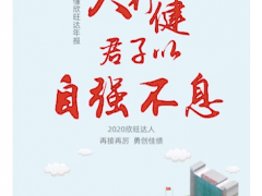 一張圖看懂欣旺達2019年度報告