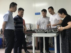 上海市奉賢區(qū)金匯鎮(zhèn)鎮(zhèn)長蒞臨上海恩邦參觀考察