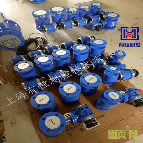 上海有恒電磁流量計(jì) 
