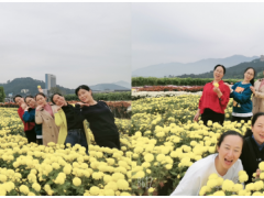秋意深濃旅意遲，萍蹤眾聚恰當時---虹潤公司的開心一刻