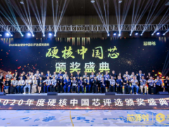 士蘭微電子榮獲“2020年度硬核中國(guó)芯”兩項(xiàng)大獎(jiǎng)