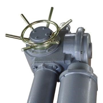 DZW15-24-A00-WK 智能開關(guān)型電動裝