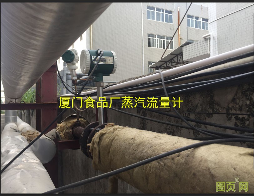 食品廠蒸汽流量計