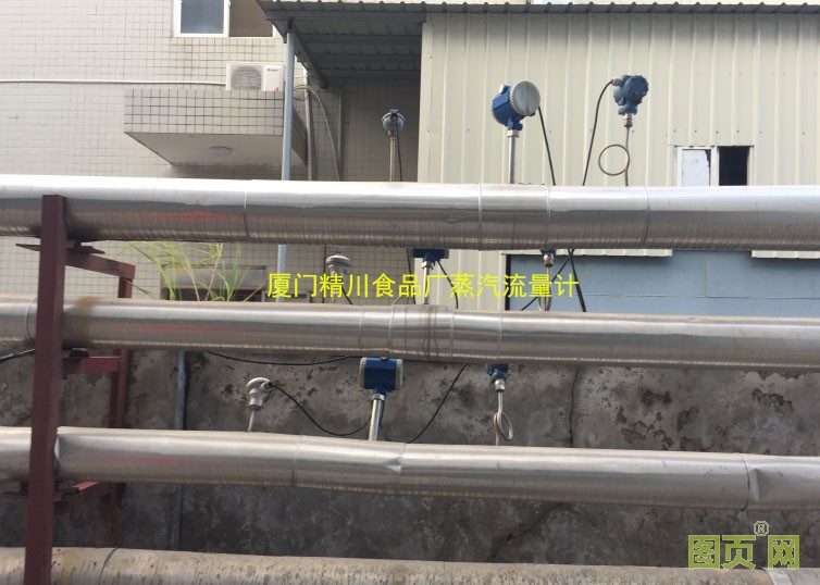 福建食品蒸汽流量計