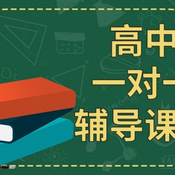 全天候英語一對一網(wǎng)課輔導(dǎo)