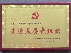 開封儀表公司黨委被評為市工信系統先進基層黨組織