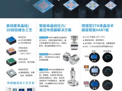 德爾森在單晶硅傳感器領域的領導地位及其應用領域