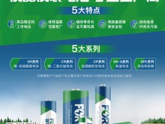 孚特鋰能電池的5大系統產品以及作為儀器儀表電池專業生產廠產品的特點與優勢？