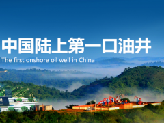 “AI+數(shù)據(jù)”驅(qū)動(dòng)LNG智能工廠建設(shè)，中控技術(shù)成功中標(biāo)延長石油靖邊天然氣項(xiàng)目