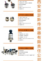 壓力傳感器_智能差壓變送器_無(wú)線壓力變送器 _控制儀表 多國(guó)儀表展 上海傳感器展