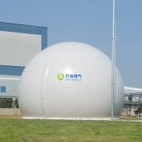 大白球雙膜儲氣柜WD68S