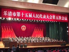 我公司領導出席樂清兩會，積極建言獻策為民生