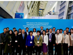 關于召開2025輕烴與芳烴產業發展大會的通知