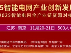 11月南京，這幾位重磅嘉賓將會出席2025智能電網(wǎng)大會！