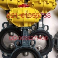 原裝正品 德國依博羅EBRO氣動扇形蝶閥  價格優惠